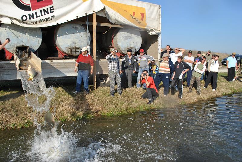 Populare surpriza la MV2